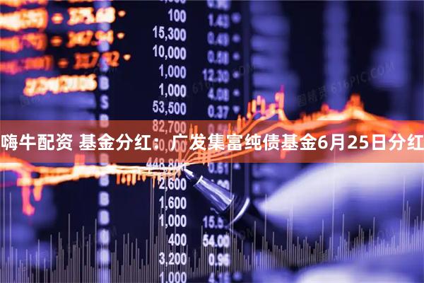 嗨牛配资 基金分红：广发集富纯债基金6月25日分红