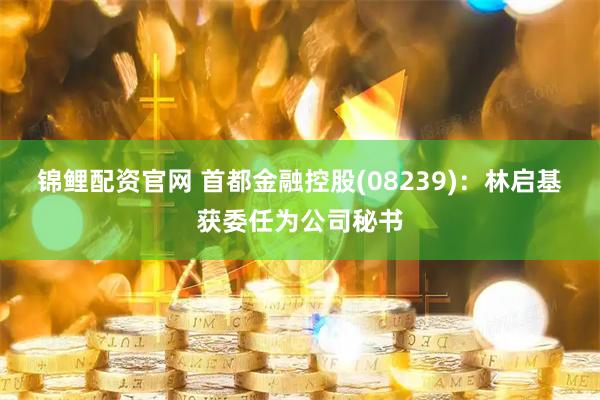 锦鲤配资官网 首都金融控股(08239)：林启基获委任为公司秘书