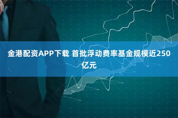 金港配资APP下载 首批浮动费率基金规模近250亿元