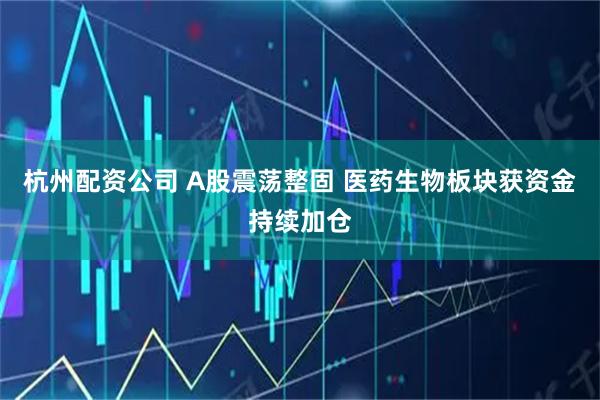 杭州配资公司 A股震荡整固 医药生物板块获资金持续加仓