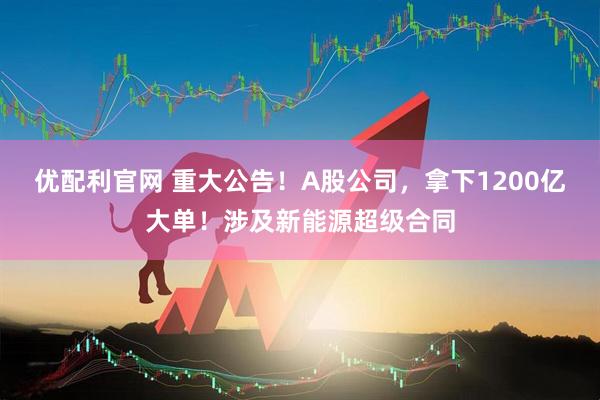 优配利官网 重大公告！A股公司，拿下1200亿大单！涉及新能源超级合同