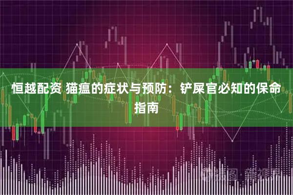 恒越配资 猫瘟的症状与预防：铲屎官必知的保命指南