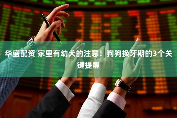 华盛配资 家里有幼犬的注意！狗狗换牙期的3个关键提醒