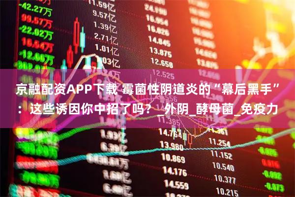 京融配资APP下载 霉菌性阴道炎的“幕后黑手”：这些诱因你中招了吗？_外阴_酵母菌_免疫力