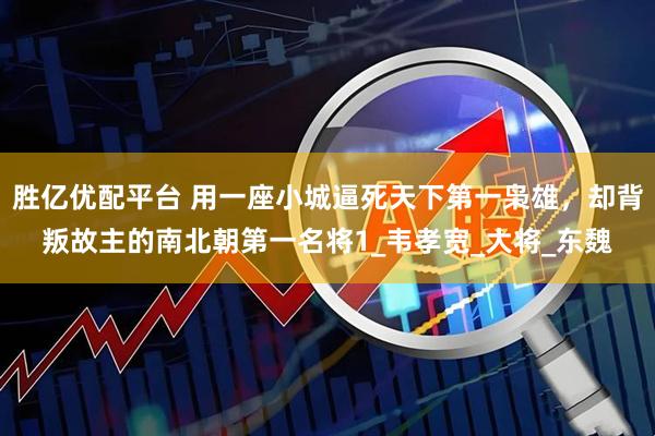 胜亿优配平台 用一座小城逼死天下第一枭雄，却背叛故主的南北朝第一名将1_韦孝宽_大将_东魏